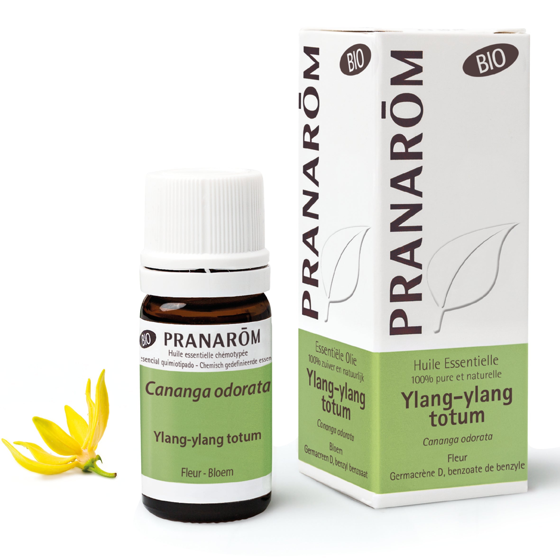 Ylang-ylang totum - Bio